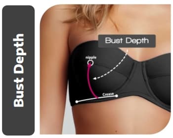 Bust Depth