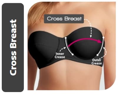 Cross Breast