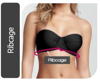 Ribcage